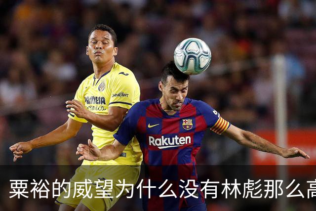 粟裕的威望为什么没有林彪那么高